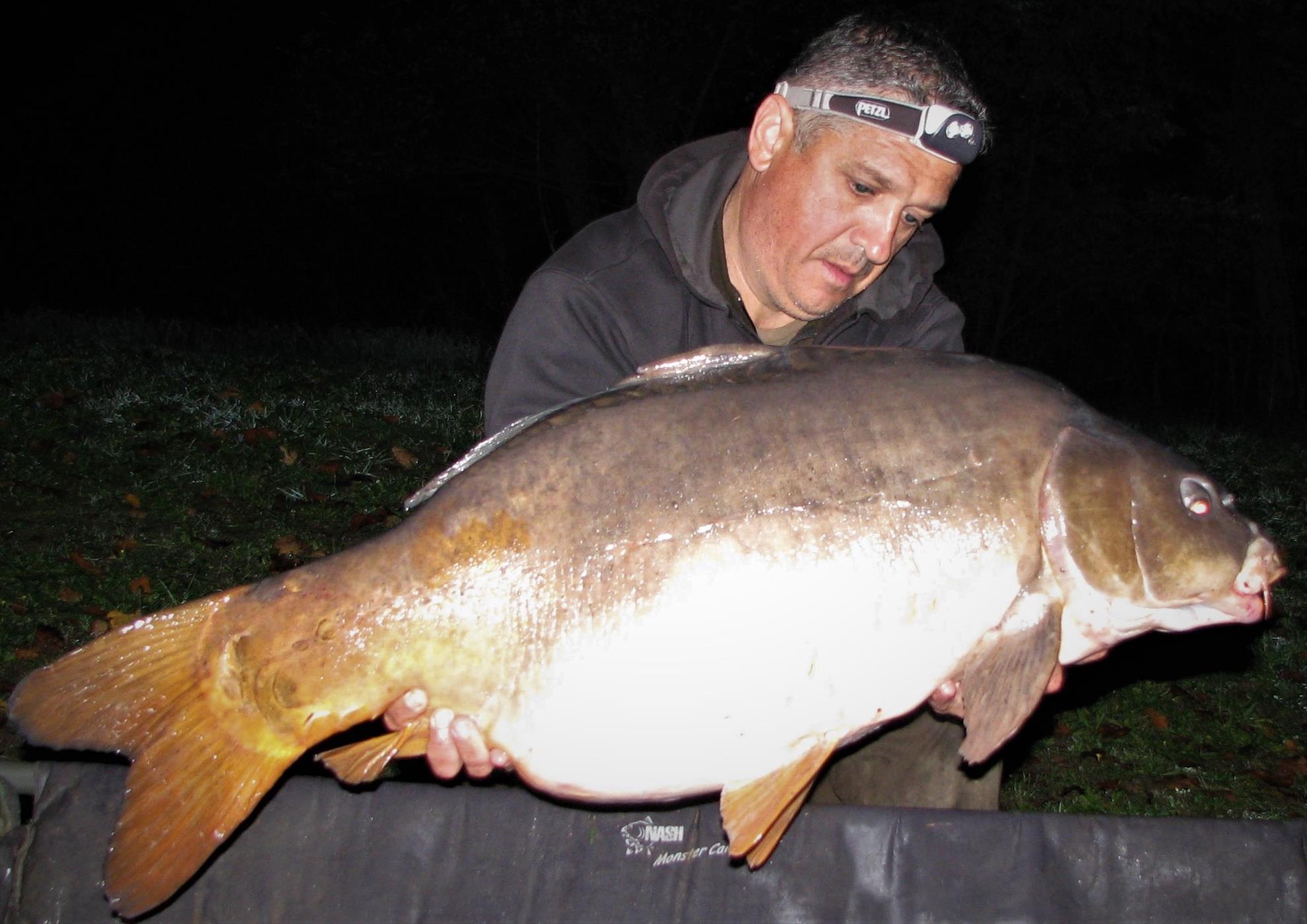 Pelagicevo 8 - 15 octombrie 2017 - img61.jpg